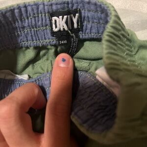 DKNY Two-Tone Green and Blue Shorts